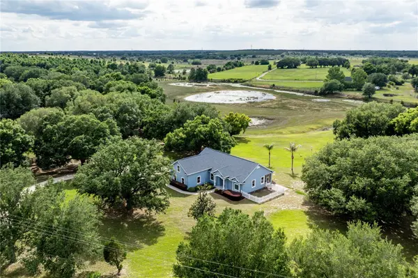 25101 TURKEY LAKE RD, Howey In The Hills, FL 34737