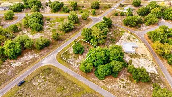 39 GUAVA TRAK, Ocklawaha, FL 32179