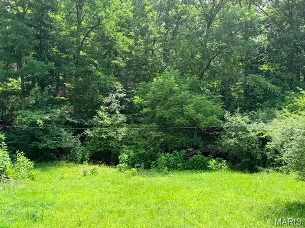 0 NE 6th Street, Mill Spring, MO 63952