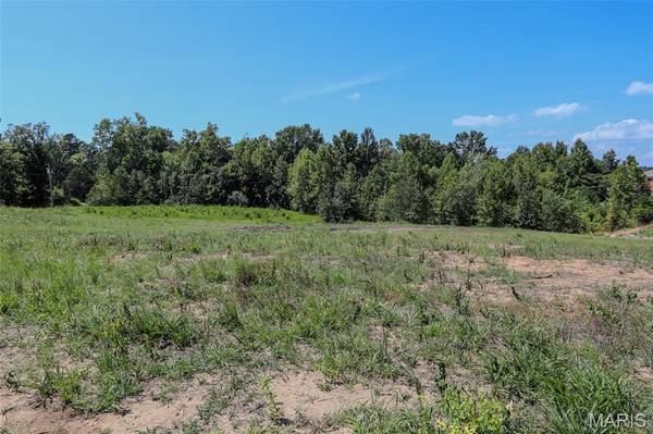 1017 Ridge Ave, Poplar Bluff, MO 63901