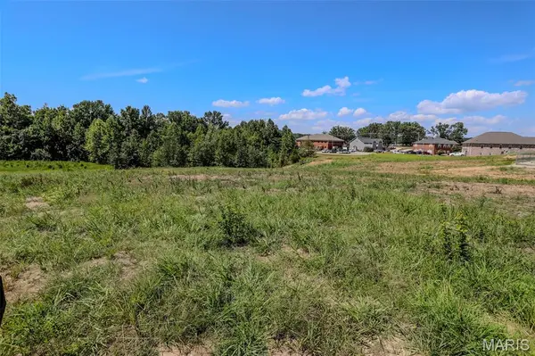 1017 Ridge Ave, Poplar Bluff, MO 63901