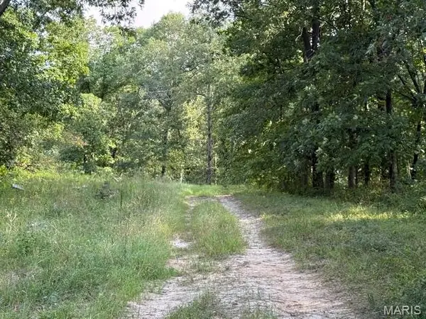 80 A Shelby 142, Bethel, MO 63434