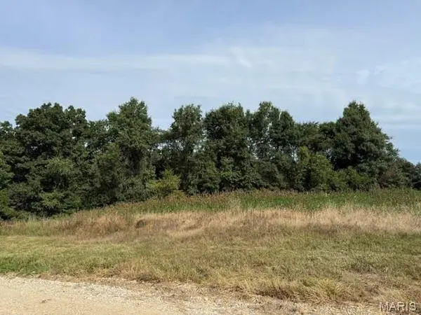 80 A Shelby 142, Bethel, MO 63434