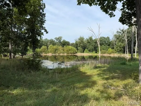80 A Shelby 142, Bethel, MO 63434