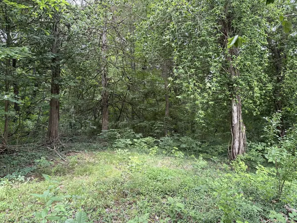 3258 Grassy RD, Carbondale, IL 62902