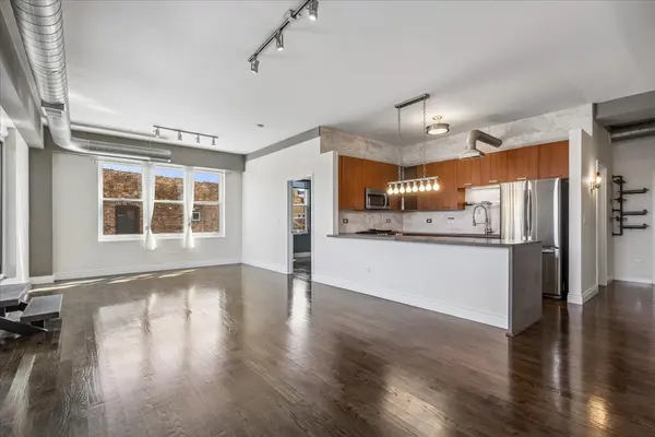 1225 W Morse AVE #309, Chicago, IL 60626