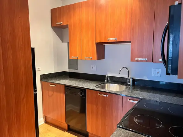 732 W Bittersweet PL #1203, Chicago, IL 60613