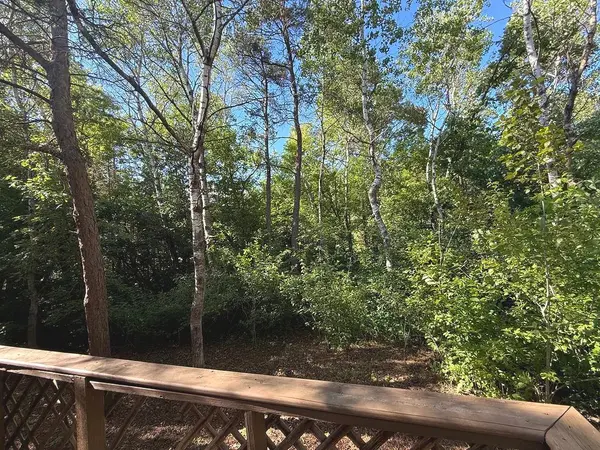 1007 Spruce LN, Park Rapids, MN 56470