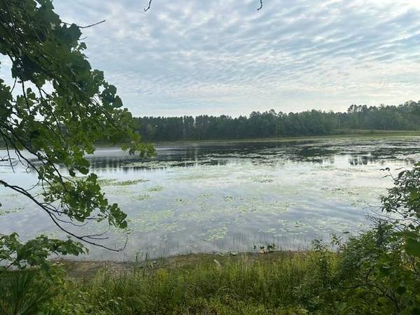 17263 Mission RD SE, Cass Lake, MN 56633