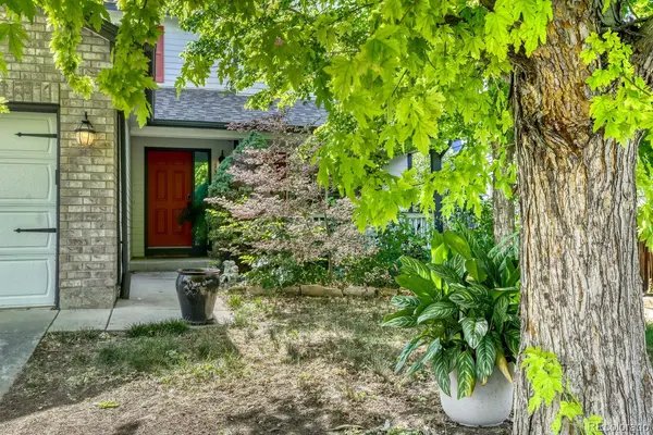 1376 Flannagan CT, Erie, CO 80516