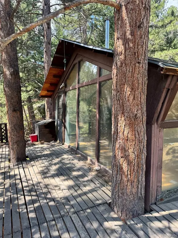 1324 Pine Glade RD, Nederland, CO 80466