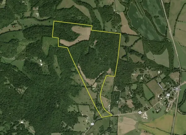 1565 Old Elkton Pike, Dellrose, TN 38453