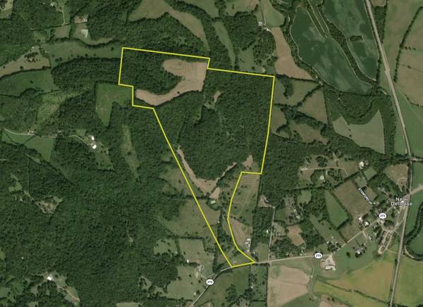 1565 Old Elkton Pike, Dellrose, TN 38453