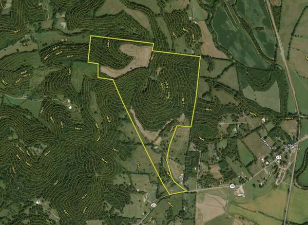 1565 Old Elkton Pike, Dellrose, TN 38453