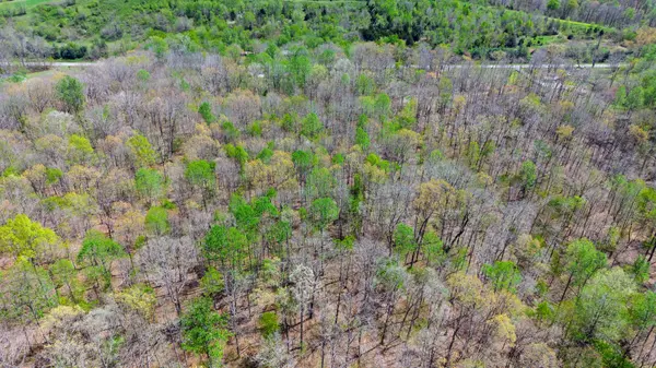 0 Highway 13, Erin, TN 37061