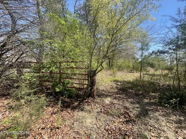 317 Mountain View Drive, Vonore, TN 37885