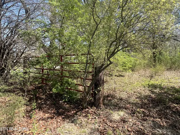 317 Mountain View Drive, Vonore, TN 37885