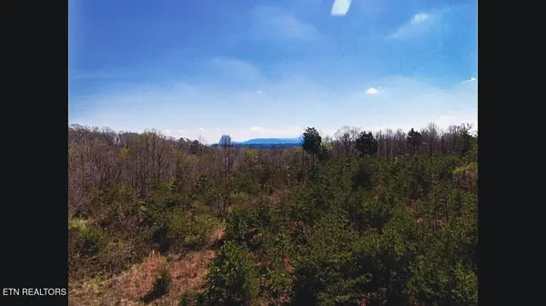 317 Mountain View Drive, Vonore, TN 37885
