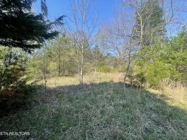 317 Mountain View Drive, Vonore, TN 37885