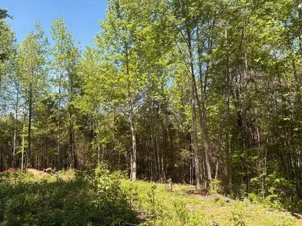 12 Bivens Court, Niota, TN 37826
