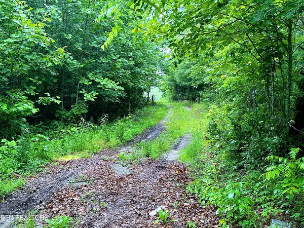 1344 Chestnut Ridge Rd, Allardt, TN 38504