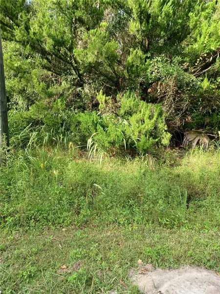 WINONA DR, Geneva, FL 32732