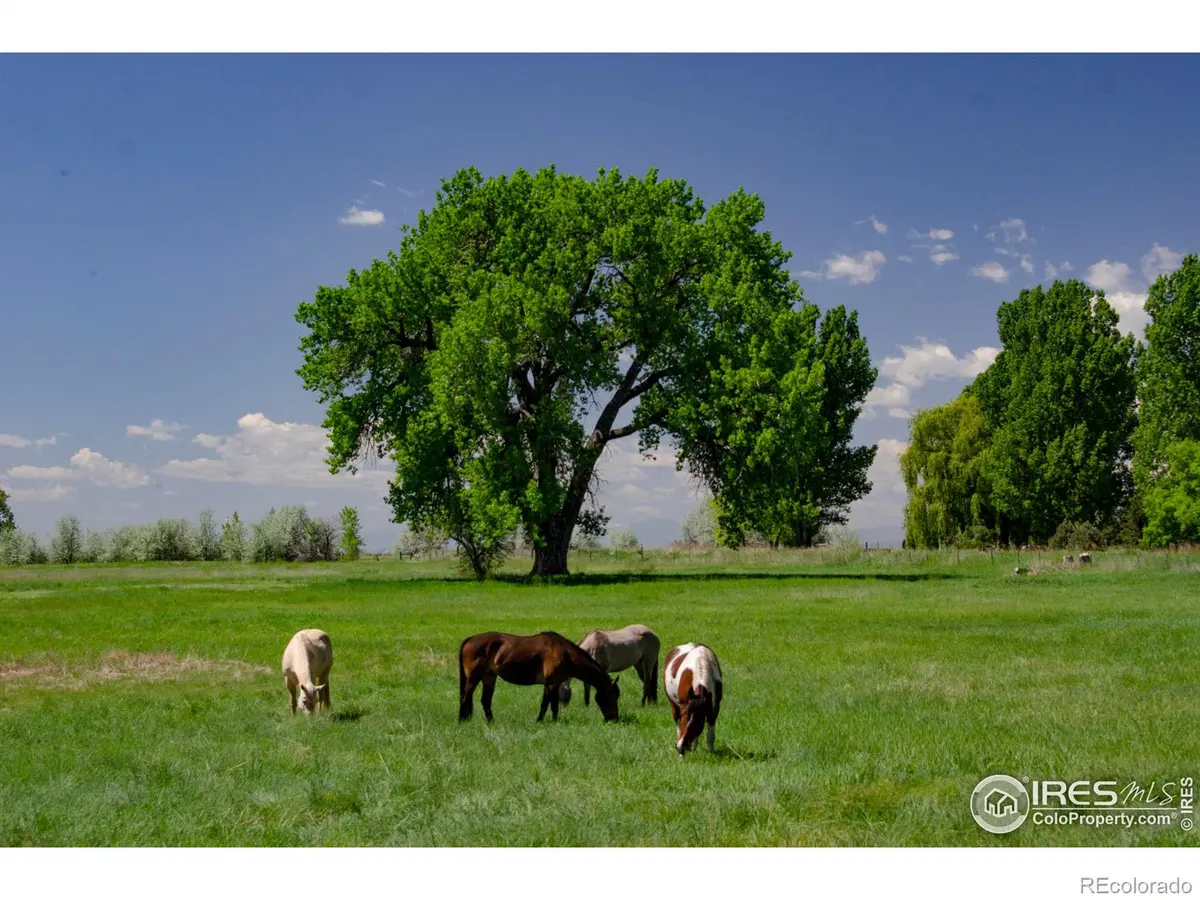 5513 E Highway 14, Fort Collins, CO 80524