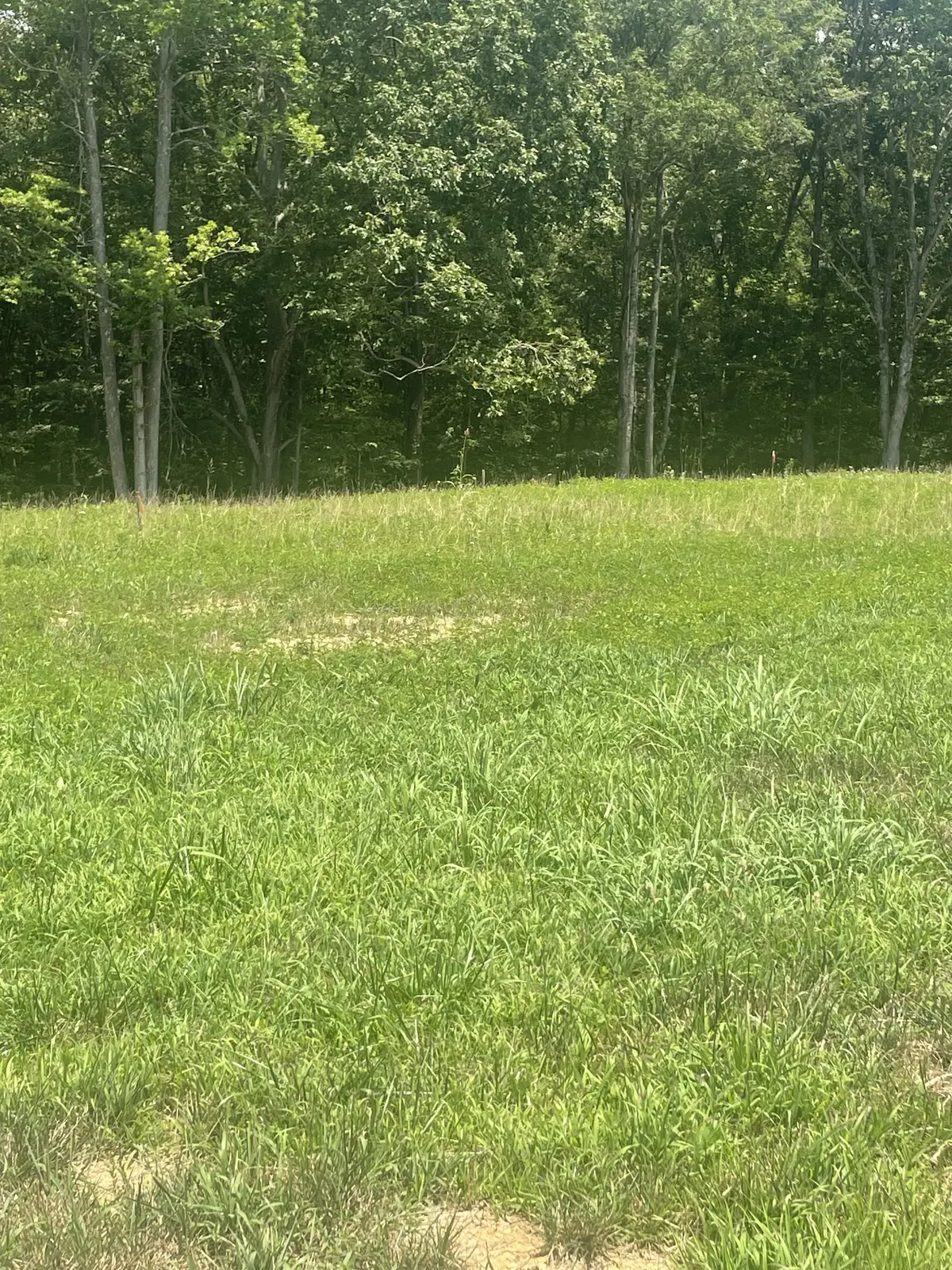0 Summer Lake, Winchester, TN 37398