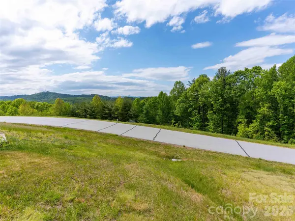 661 Whites Lake BLVD,  Saluda,  NC 28773