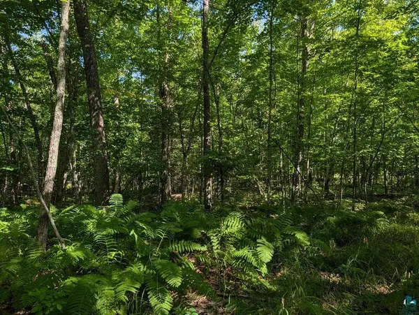 xxx Cherryville Rd, Ashland, WI 54806
