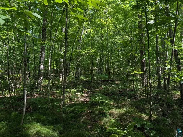 xxx Cherryville Rd, Ashland, WI 54806