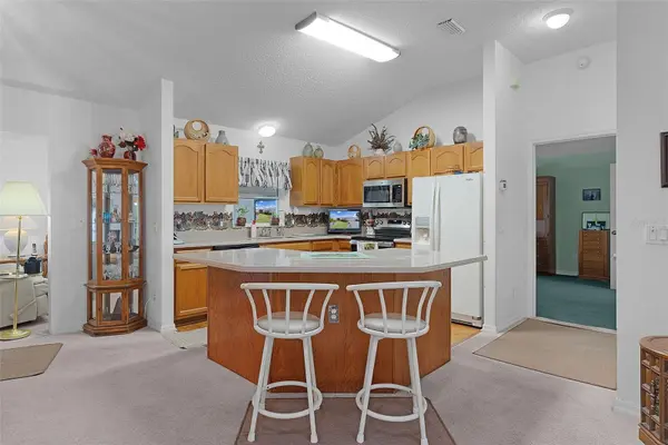 1115 SALIDO AVE, The Villages, FL 32159