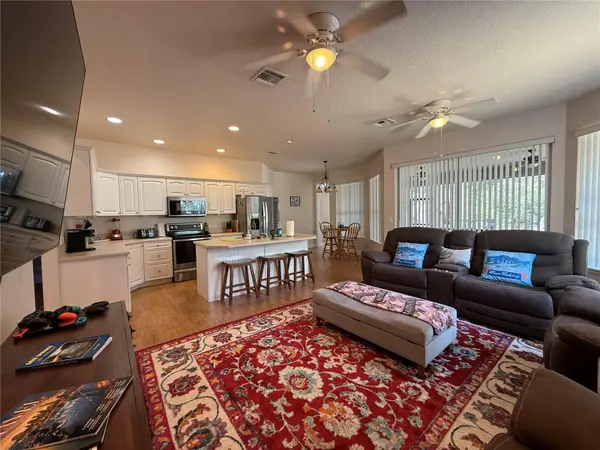 24907 NE 135TH ST, Salt Springs, FL 32134