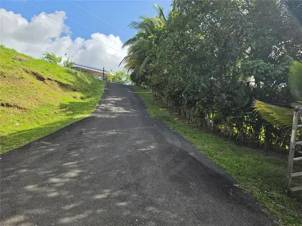 PR 900 BO GUAYABOTA, Yabucoa, PR 00767