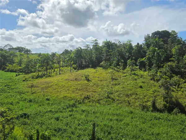 PR 900 BO GUAYABOTA, Yabucoa, PR 00767
