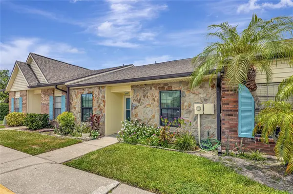 3909 CARROLL CYPRESS CT, Tampa, FL 33614