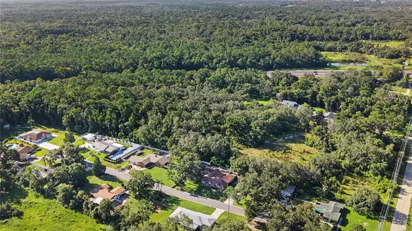 LIVINGSTON AVE, Lutz, FL 33559