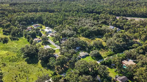 LIVINGSTON AVE, Lutz, FL 33559