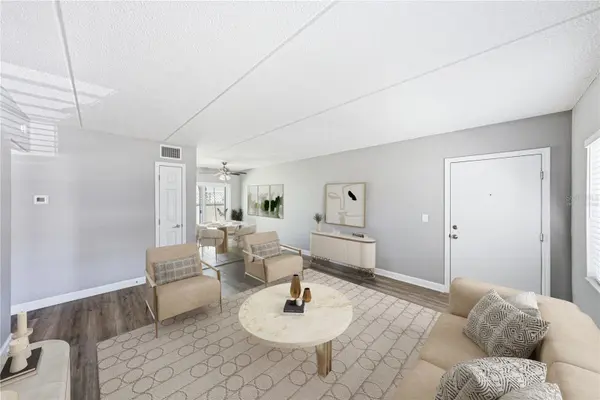 1170 RUE DES CHATEAUX #1A, South Pasadena, FL 33707