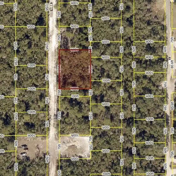 WALDOR AVE, Orange City, FL 32763