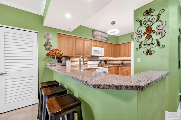 4516 SEAGULL DR #719, New Port Richey, FL 34652