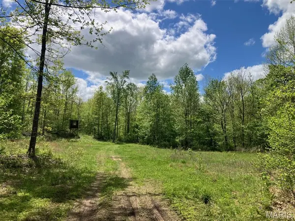 225 Madison CR 410, Fredericktown, MO 63645