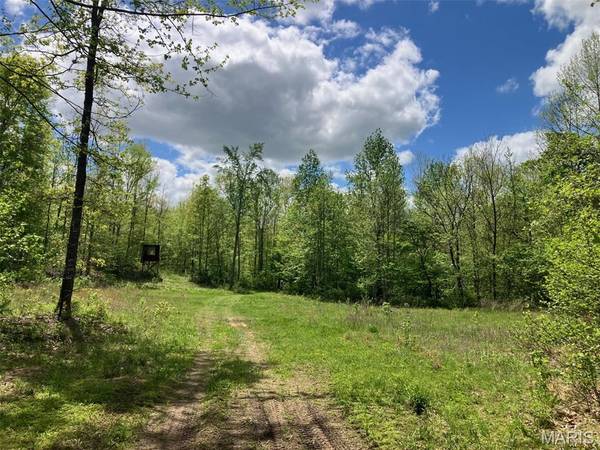 225 Madison CR 410, Fredericktown, MO 63645
