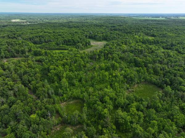 TBD County Highway 26, Rochert, MN 56578
