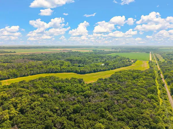 292xx Doyle TRL, Randolph, MN 55065