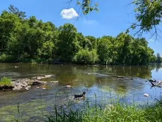 45594 313th ST, Motley, MN 56466
