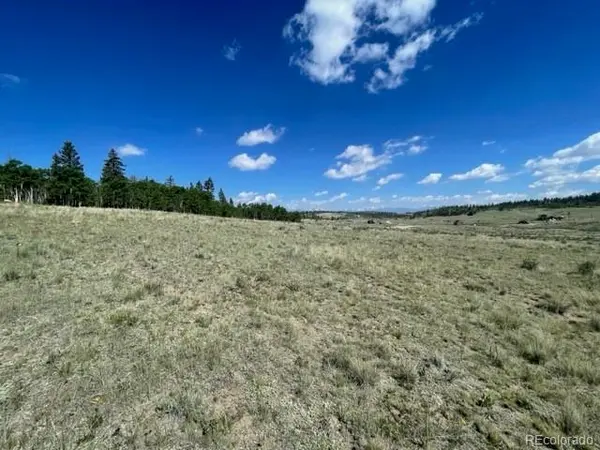 802 Arrowhead DR, Como, CO 80432