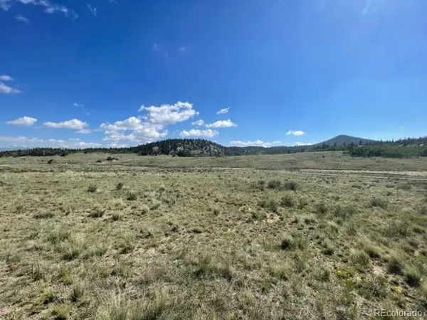 802 Arrowhead DR, Como, CO 80432