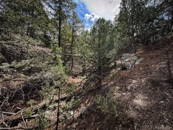 401 Lake Of The Falls Pkwy, Mosca, CO 81146