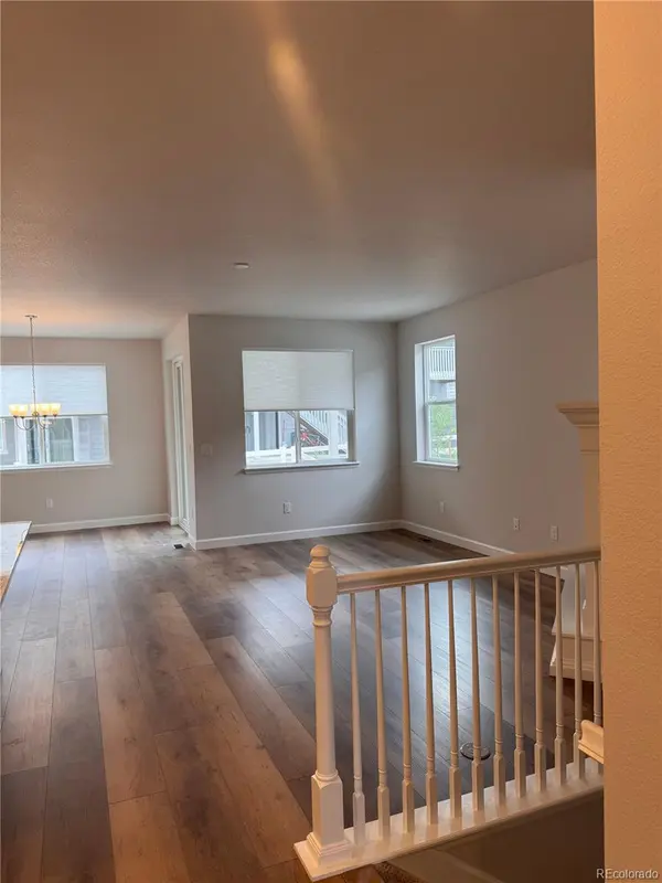 1975 Spencer AVE, Castle Rock, CO 80104